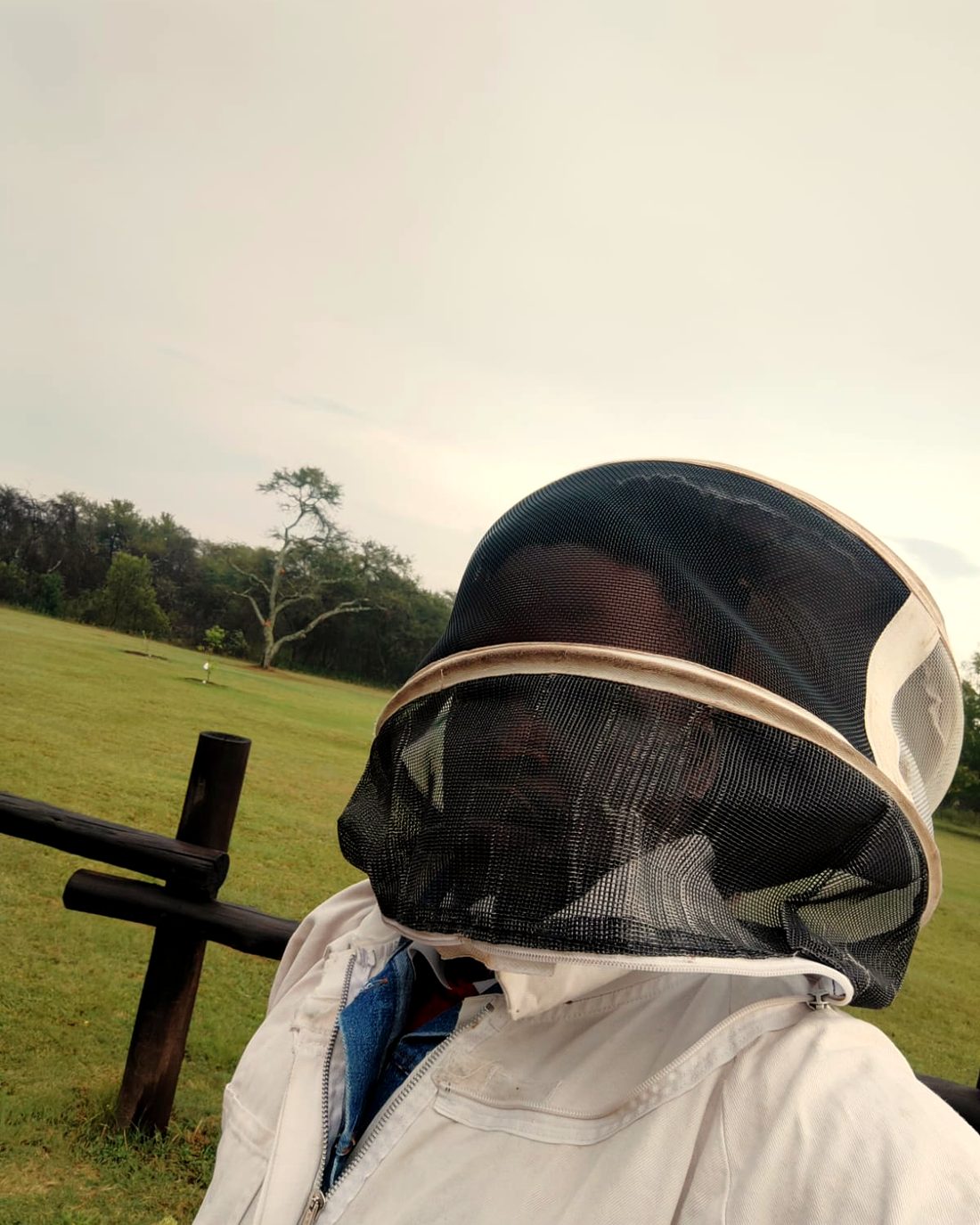 Beekeeper in a protective veil out in the field