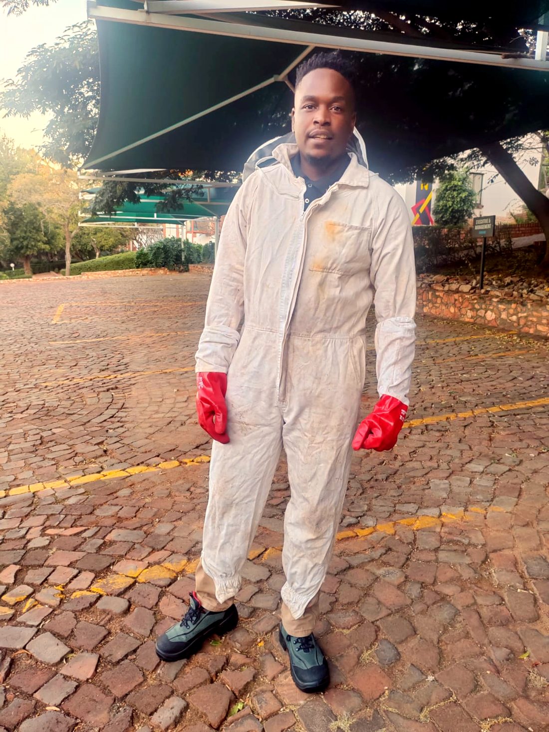 Beekeeper suited up with protective gloves